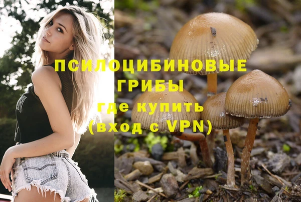 спиды Арсеньев