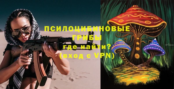 тгк Армянск