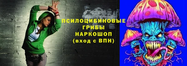 тгк Армянск