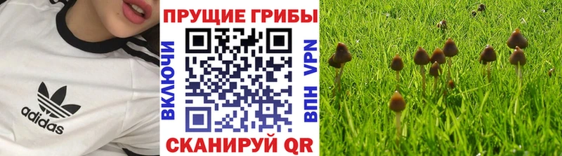 Галлюциногенные грибы Magic Shrooms Железногорск
